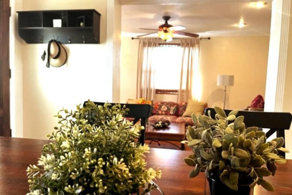 House Close To Downtown, Airport, Raymond James Stadium, And Many More Places Тампа Экстерьер фото